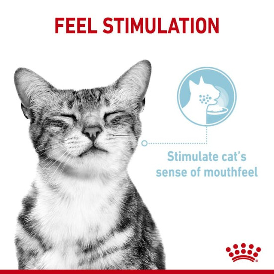 Royal Canin Sensory Feel – Hrană Umedă pentru Pisici Adulte în Sos – 85 g